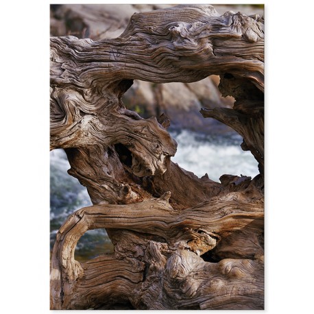 Комплект постеров "Driftwood"
