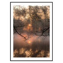 Комплект постеров в рамках "Driftwood"