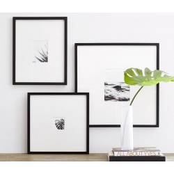 Комплект пластиковых рамок "Family" цвет на выбор