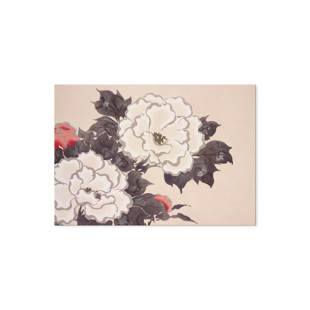 Постер "Flower. Kamisaka Sikka"