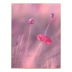 Комплект постеров в рамках "Only pink"