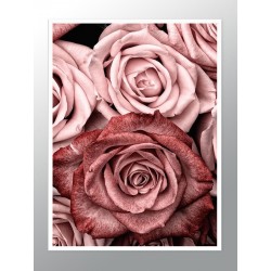 Постер "Троянда"