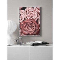 Постер "Роза"