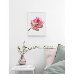 Постер "Tulip"