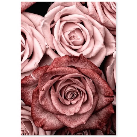 Комплект постерів "Flowers Art"