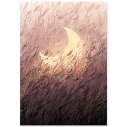 Комплект постеров "Flowers Art"