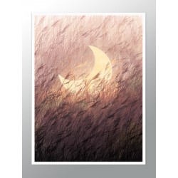 Комплект постеров в рамках "Flowers Art"