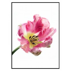 Комплект постеров в рамках "Love"