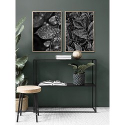 Комплект постерів в рамках "Після дощу"