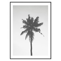 Постер "Palm"