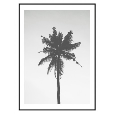 Постер "Palm"