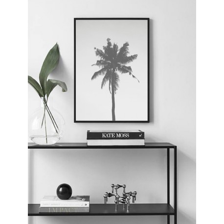 Постер "Palm"