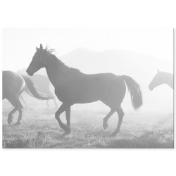 Комплект постерів "White Art"