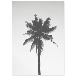 Комплект постеров "White Art"