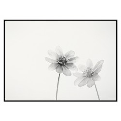 Комплект постерів в рамках "Together..."