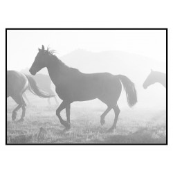 Комплект постеров в рамках "Together..."