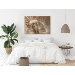 Постер "Одуванчик"