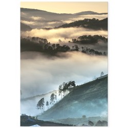 Постер "Туман"