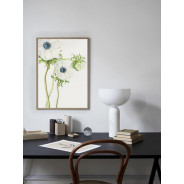 Постер "Anemone Flower Art"
