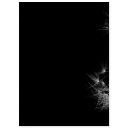 Комплект постерів "Dandelion"