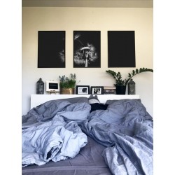 Комплект постеров в рамках "Dandelion"