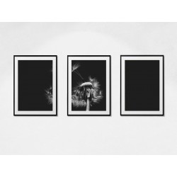 Комплект постеров в рамках "Dandelion"