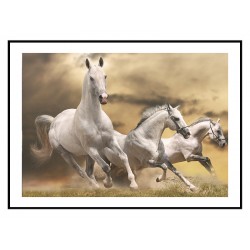 Постер "Running White Horses"