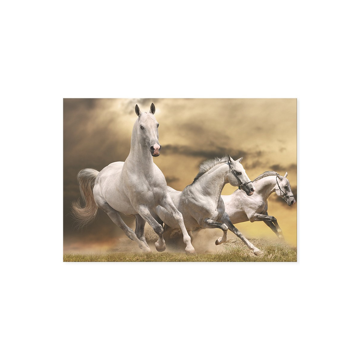 Постер "Running White Horses"