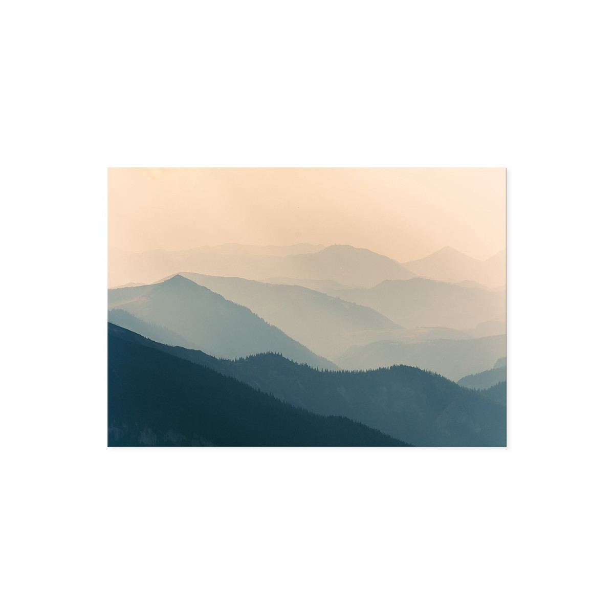 Постер "Aesthetics"