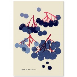 Постер "Aronia Art"