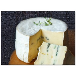 Комплект постерів "Wine & Cheese"