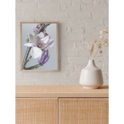 Постер "Магнолія"