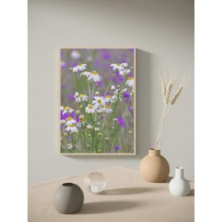 Постер "Ромашка"