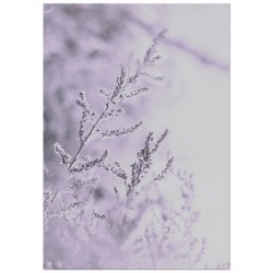 Постер "Branch"