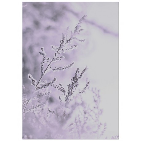 Постер "Branch"