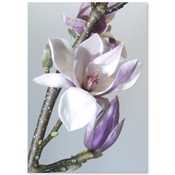 Комплект постеров "Floral"