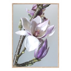 Комплект постеров в рамках "Floral"