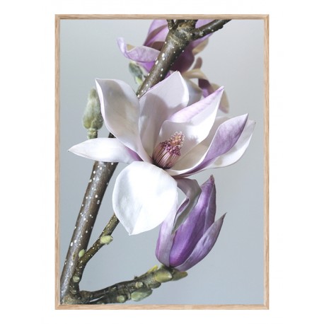 Комплект постеров в рамках "Floral"