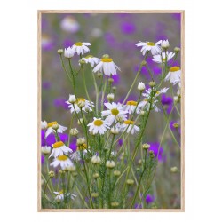 Комплект постеров в рамках "Floral"