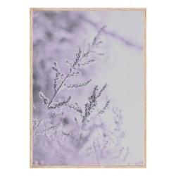 Комплект постеров в рамках "Floral"