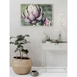 Постер "Artichoke"