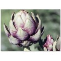 Постер "Artichoke"