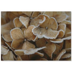 Комплект постеров "Русалочка"