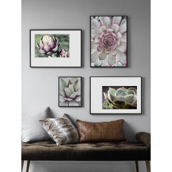 Комплект постеров "Tropical"