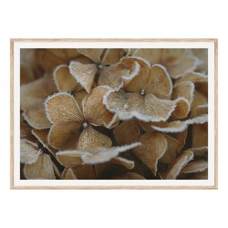 Комплект постеров в рамках "Русалочка"