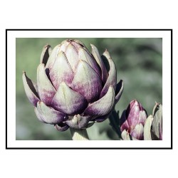 Комплект постеров в рамках "Tropical"