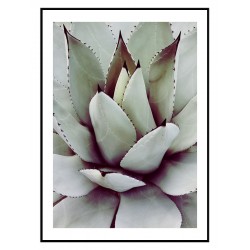 Комплект постерів в рамках "Tropical"