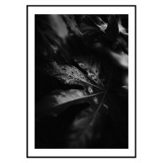 Постер "Leaf"