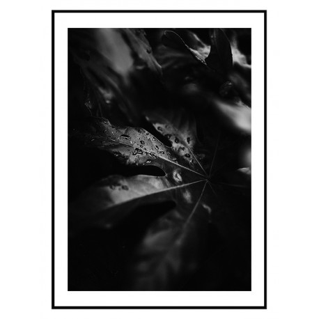 Постер "Leaf"