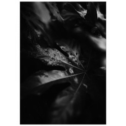 Комплект постерів "Ego"